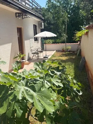 Apartments Lav Umag 0*,
